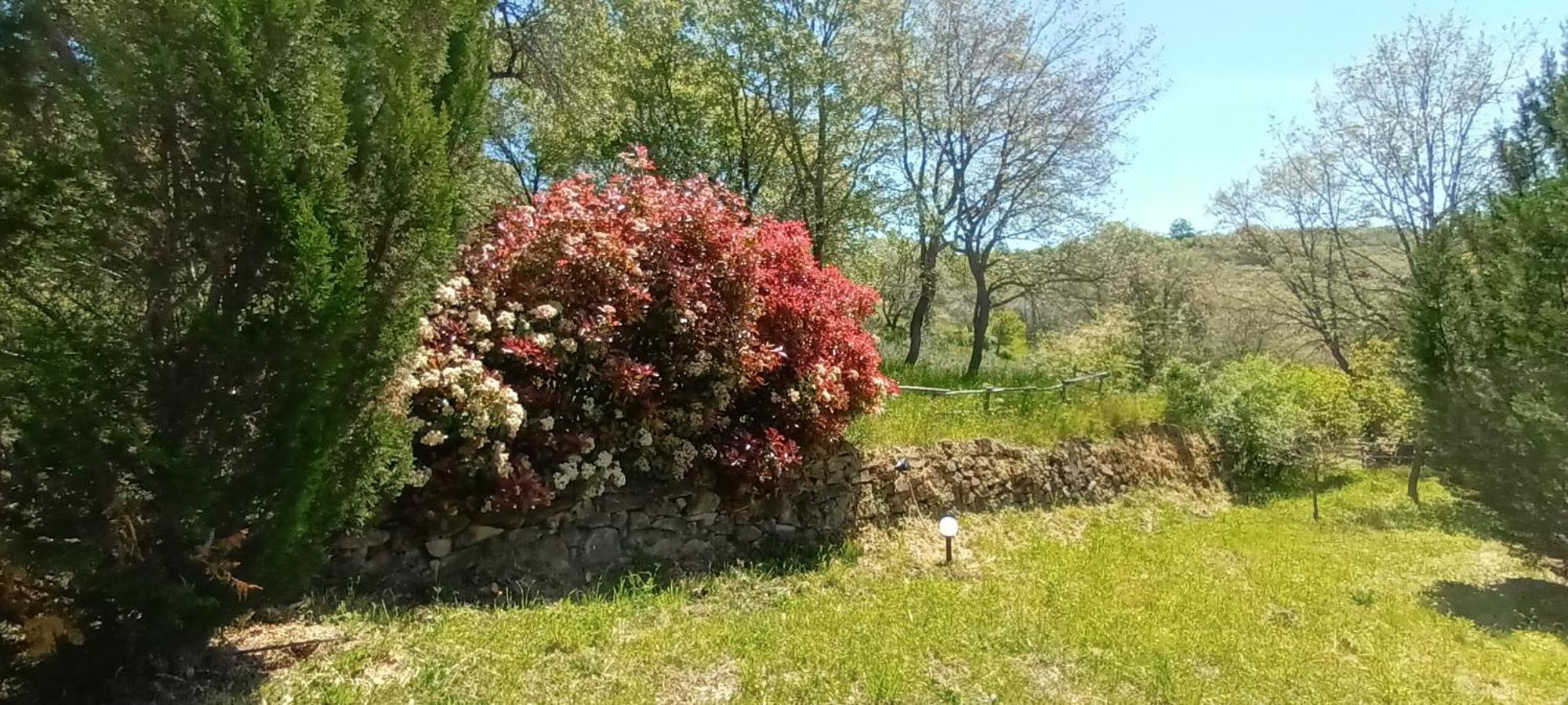 Appartamento Casa In Maremma Montemerano Esterno foto