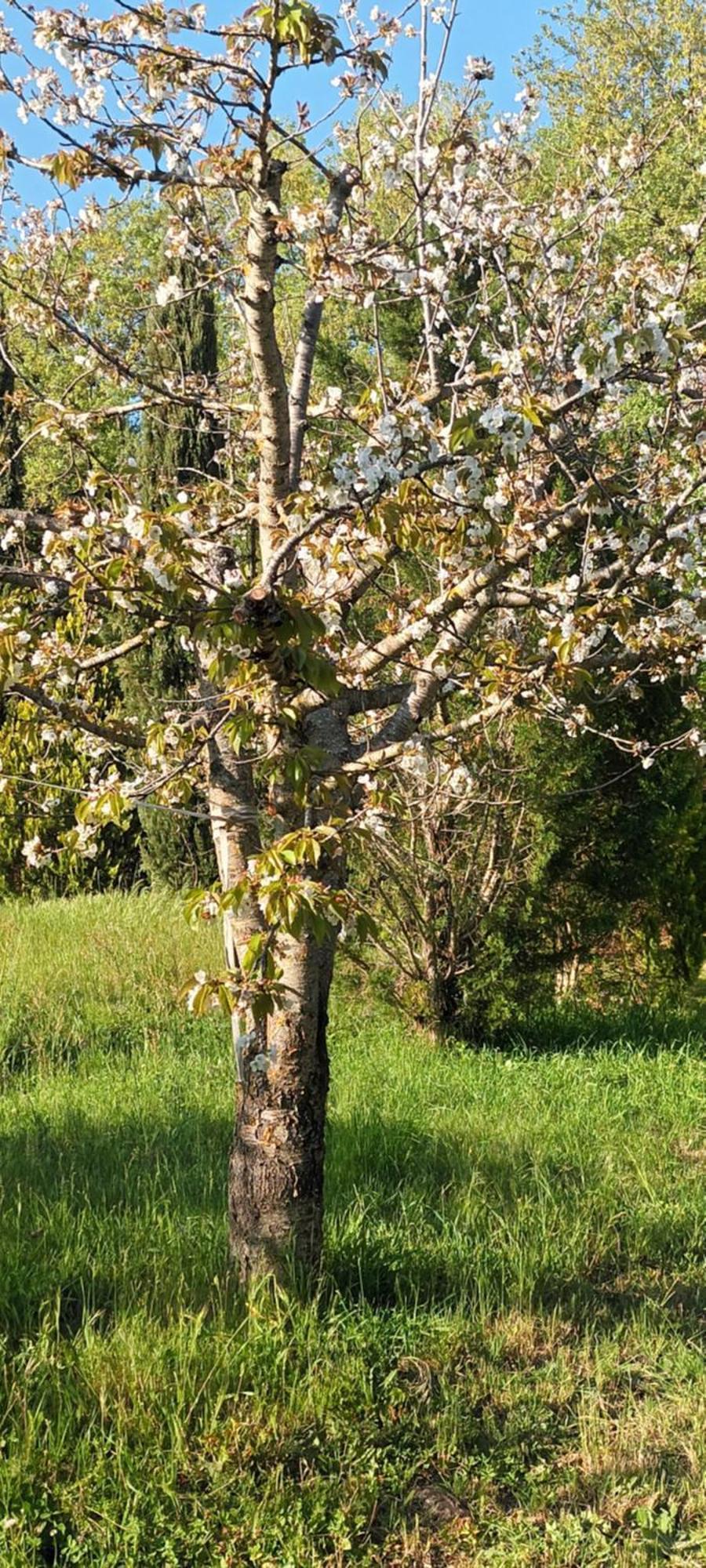 Appartamento Casa In Maremma Montemerano Esterno foto