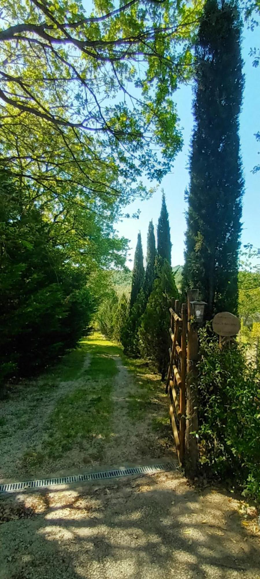 Appartamento Casa In Maremma Montemerano Esterno foto